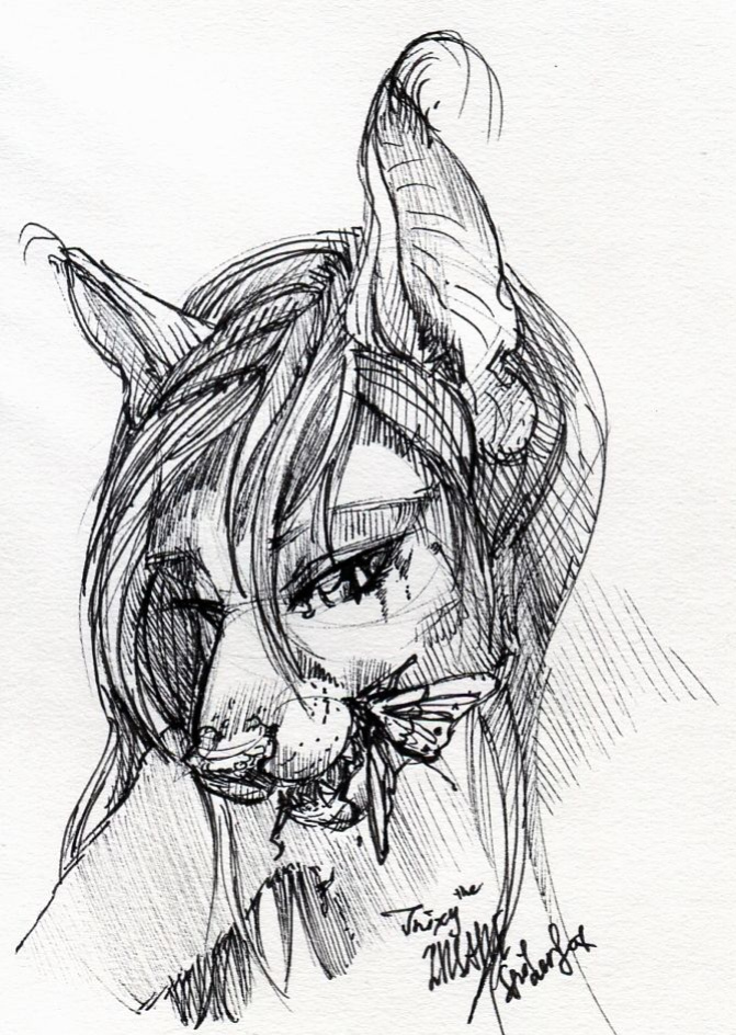 Artist Trixy The Spiderfox