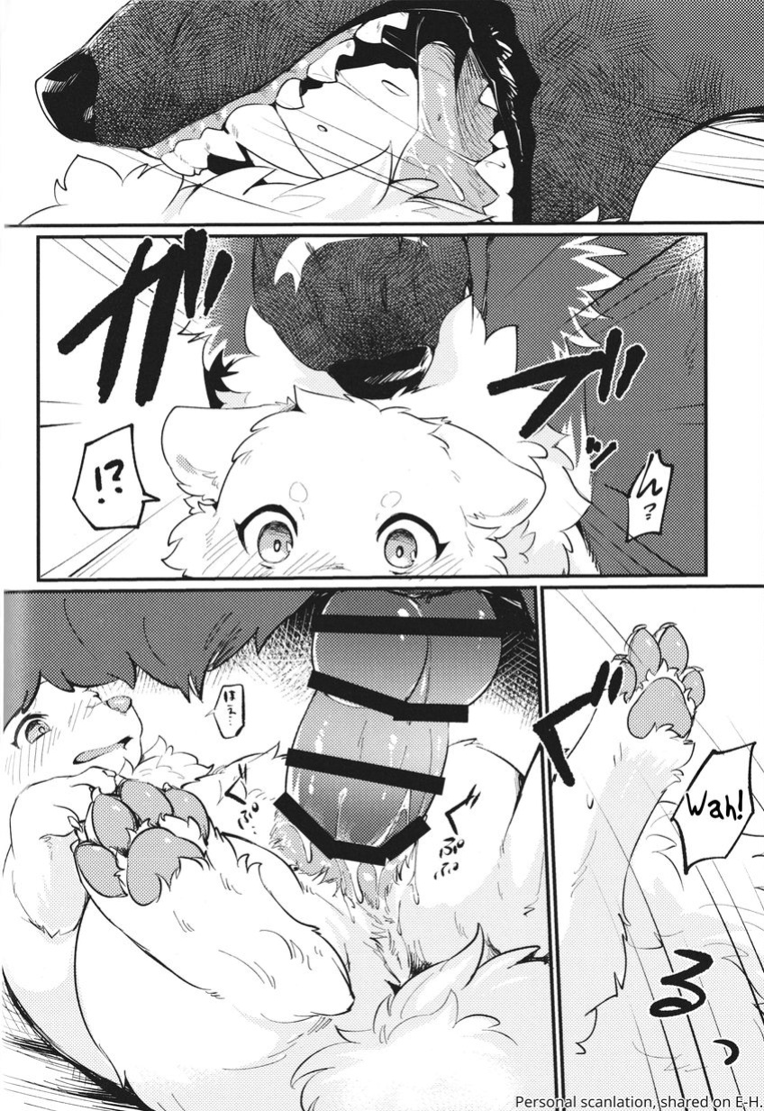 (Kemoket 14) [Kaiten ParaDOGs (Minaga Tsukune)] Kokoro Karu Made | The Tanuki and the Hound
