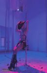 Private Dance: Down south #1 Deluxe