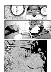 [Nviek5] Park No. 3 [CN/EN/JP/TH]
