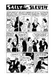 [Adolphe Barreaux] Sally the Sleuth [English]