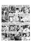 [Wallace Wood] The Complete Sally Forth [English]