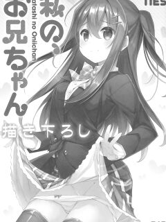 (C94) [TIES (Takei Ooki)] Watashi no, Onii-chan Kakioroshi (Watashi no, Onii-chan Soushuuhen) {Faux}