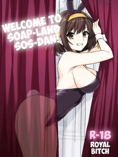 [Royal Bitch (Haruhisky)] Welcome to Soap-land SOS-Dan! (The Melancholy of Haruhi Suzumiya) {Awesome Sauce} Preview