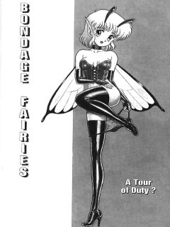 Bondage Fairies Preview