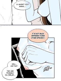 [LangD] 2024-11-15 고양이(猫)(Cat) Preview