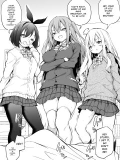 [Airandou] Namaiki Sanshimai [Torii Image Translator]