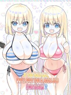 [Othello Ice (shuz)] Dekitara Hasande Agemasu!ru 2 | If You Hold Out, We’ll Give You a Boob Job (For Real)! 2 [Sonarin迫]