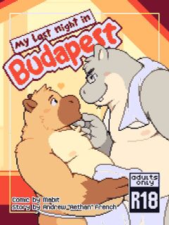 [mabit] My last Night in Budapest (Eng) Preview
