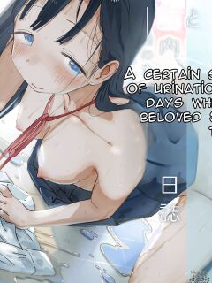 [Hiyashi Makura] Toaru Natsuyasumi no Chitsunai Hounyou Renshuu Nisshi - Boku no Daisuki na Seo-san o Shoubenki toshite Shiyou Shita 28-nichikan | A Certain Summer Vacation: A Diary of Vaginal Urination Training—28 Days of Using My Beloved Seo-san as a Ur Preview